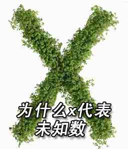 为什么用x表示未知数 为什么用x表示未知数？