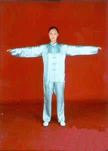 易筋经八段锦五禽戏 八段锦定式动作.六字诀定式动作.五禽戏定式动作 .易筋经定式动作