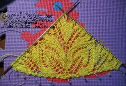 棒针孔雀花披肩图解 《棒针——三角、长披肩——孔雀尾——图解、教程》