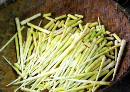 春笋 春笋，春天无法复制的鲜嫩美味！