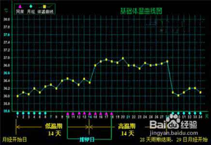 女性基础体温曲线图 女性基础体温 孕前女性基础体温曲线图