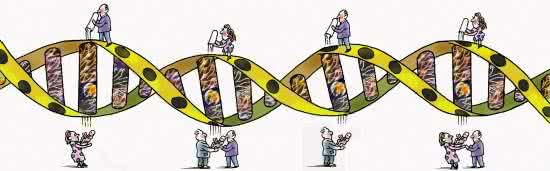 遗传病的预防 八遗传病怎样预防