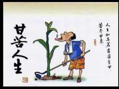 不吃苦青春读后感800 你要青春做什么读后感 不读书不吃苦你要青春做什么读后感