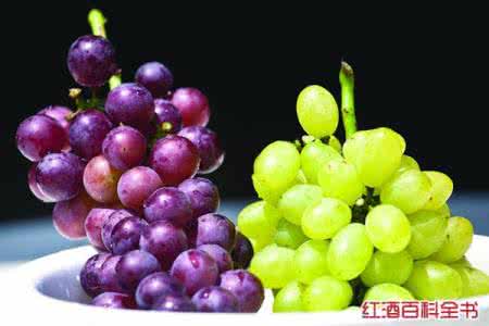 葡萄与提子的区别 提子与葡萄有什么区别