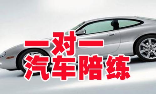 新手平安汽车陪练 《汽车陪练平安上路图解手册》