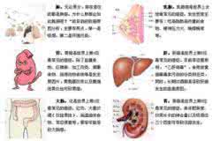 肝胆胰脾肾彩超 （全是精华）肝/胆/肾/癌症【空间站】13