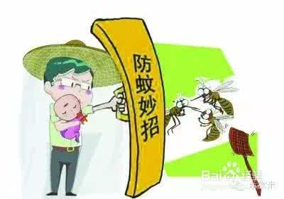 教你几招蚊子 教你几招,蚊子一个夏天都不敢进你房间