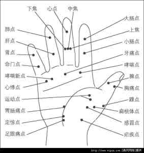 手掌掌根的准确位置图 手掌穴位,人体穴位的准确位置图