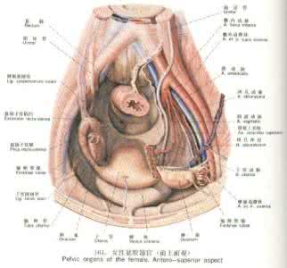 盆腔炎症性不孕症 盆腔炎症有什么症状 盆腔炎症性不孕症症状