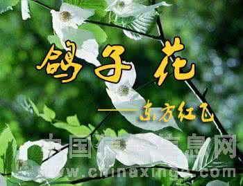 钟佳文永泰初中 人生智慧佳文850篇(二)