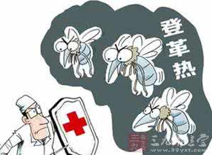 登革热病例 广东再现登革热输入性病例 防蚊工作须启动