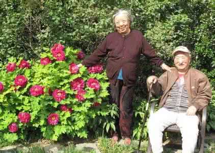 陈佩斯被禁16年真相 陈佩斯:陪伴才是最真的孝