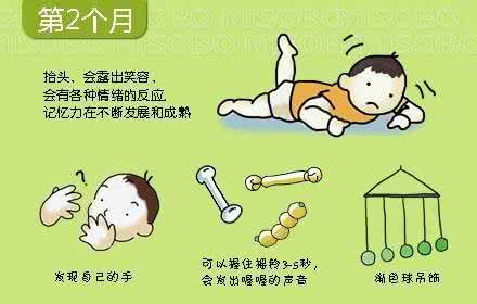 幼儿园音乐图谱 0至3岁幼儿发展图谱
