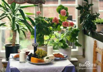 中国花木供求网 正确选择可供居室选用的花木