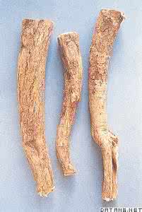 肝肾肺脾胃气都不足 黄芪是补气药，能提升脾肺之气，防脱肛