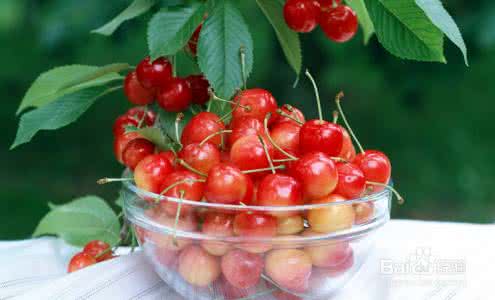 樱桃的营养价值及功效 樱桃的营养价值及功效 吃樱桃有什么好处?樱桃的营养价值、功效与作用