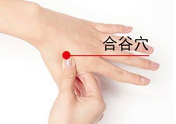 艾灸中的“万能穴”你知道吗?