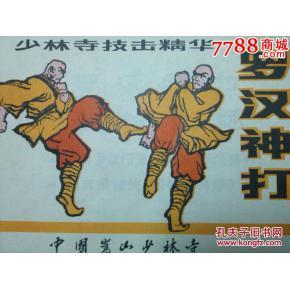 少林拳教学视频 罗汉神打 少林拳正宗罗汉神打之外八捶*