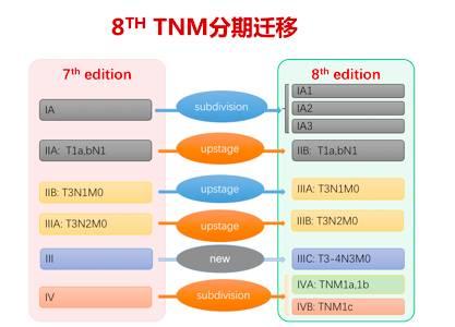 肺癌tnm分期第八版 【911】第8版肺癌TNM分期新鲜出炉啦！