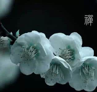 人生座右铭八个字 人生就八个字:好好做人 好好做事