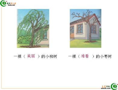 人教版二年级语文课件 二年级上学期语文课件 人教版二年级上学期语文课件 《小柳树和小枣树》
