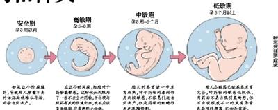 安全期避孕法 安全期避孕法 安全期避孕法就等于变相堕胎