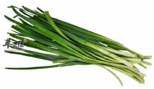 韭菜的营养价值及功效 韭菜的营养价值和药用功效（韭菜食谱）