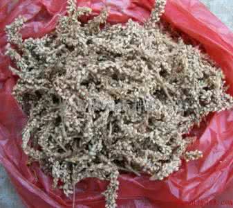玻尿酸的副作用是什么 玻尿酸的副作用是什么 水红花子的副作用是什么