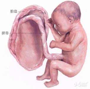 孕育过程 怀孕孕育过程图 你的性器官适合怀孕吗？孕育和什么有关？
