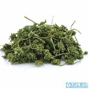 人参花的功效与作用 人参花是什么？它有什么功效呢？