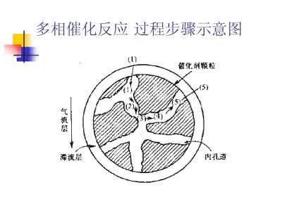 固相反应过程 多相反应过程