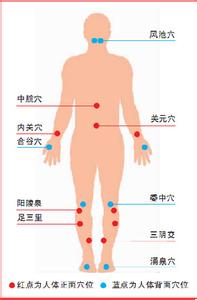 十大保健穴!
