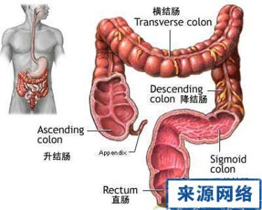 直肠癌术前肠道准备 研究：充分的肠道准备有效防止结直肠癌术后并发症