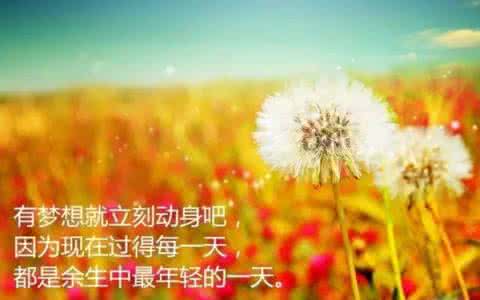 活在当下享受生活 活在当下，不要辜负这美好的生活