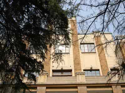 南京总统府子超楼 南京总统府子超楼 南京总统府子超楼前雪松的故事 或暗喻“林森”