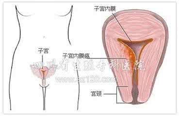 子宫饱满是好还是不好 子宫饱满是好还是不好 子宫饱满怎么回事？