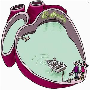 肾脏疾病 肾脏疾病如何保护心脏 保护肾脏就是在挽救你的心脏！