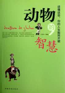 让人豁然开朗的句子 励志 让人豁然开朗的50条人生建议
