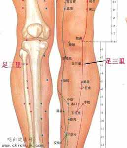 敲打足三里有什么好处 足三里穴位位置图
