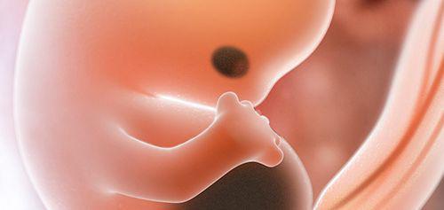 宝宝水果泥蔬菜泥大全 孕期不同阶段宝宝到底有，用蔬菜水果形容告诉你腹中宝宝多大了