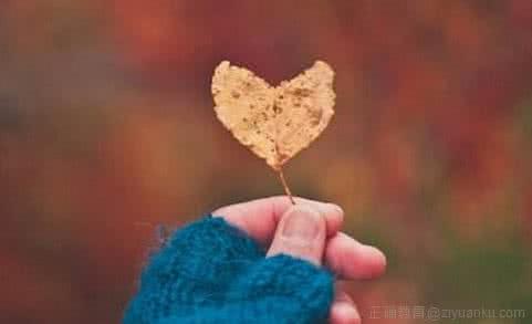 快乐生活人生感悟 快乐不长久，悲伤有尽头【人生感悟】