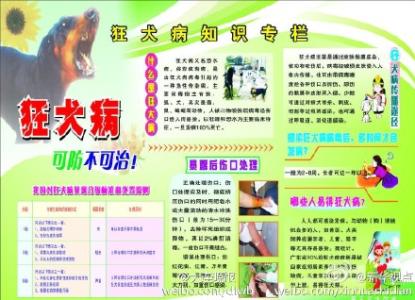 ae照片汇集成logo效果 狂犬病毒发急救效方汇集文档