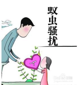 宝宝如何预防蚊虫叮咬 宝宝被蚊虫叮咬有什么危害？如何预防？