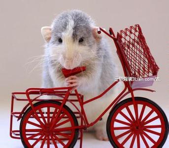 暴君 请疼爱我 请你疼爱这个有点疯的人