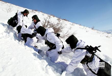 新疆大雪 新疆大雪 雪中的新疆马，美爆了！