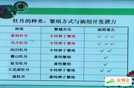 牡丹生长过程 专家问答（二）——油用牡丹生长需要的环境条件是什么