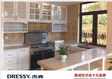 集成灶十大公认品牌 集成灶十大排名 2014集成灶十大品牌排名(最新)