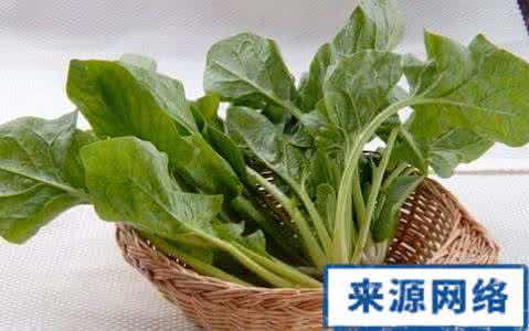 菠菜的营养价值 菠菜的营养价值 菠菜根的营养价值不可小觑