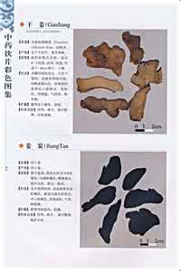 麦冬功效与作用是什么 麦冬功效与作用是什么 土荆皮的功效与作用是什么呢？