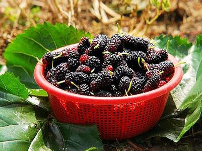 小满吃什么水果 小满吃什么水果养生